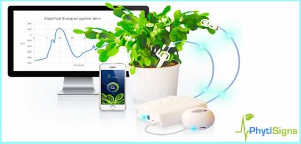 学分:entrepreneur.com