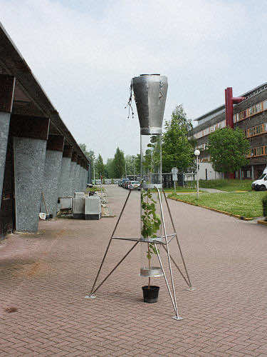 阿姆斯特丹正在测试一种可以吸收雾霾的花