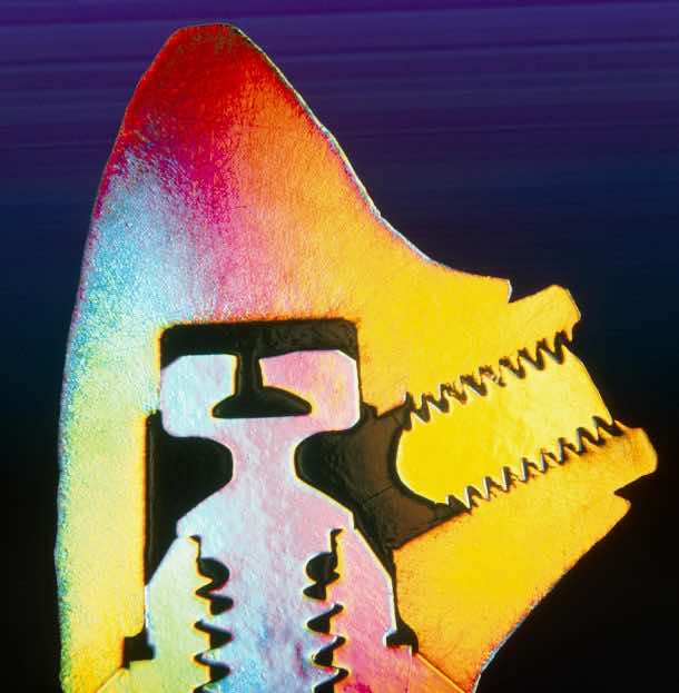 种植牙的横截面。学分:Volker威尔