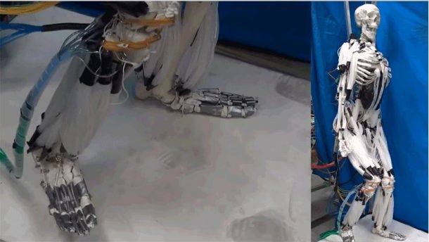 学分：gizmodo.com