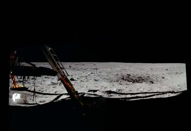 now-that-theyre-on-the-ground-they-can-start-to-explore-their-surroundings