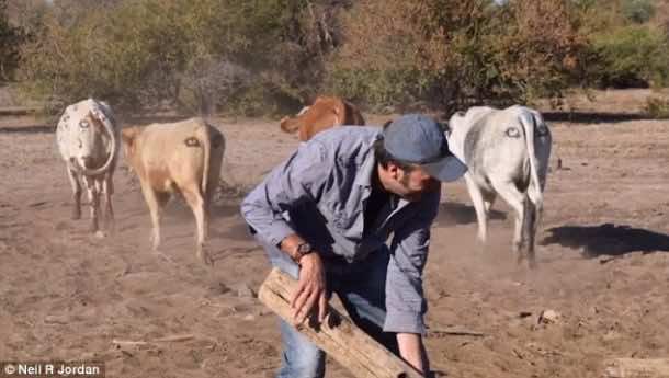 学分:answersafrica.com