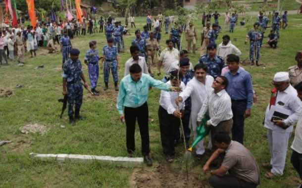 印度政府官员为新的种植增添了水。