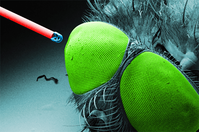 世界上最小的camera2