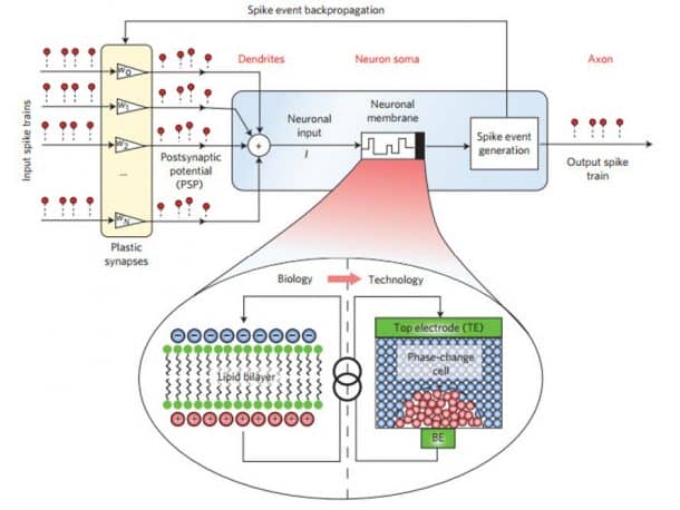 显示单个相变神经元的图。学分：IBM