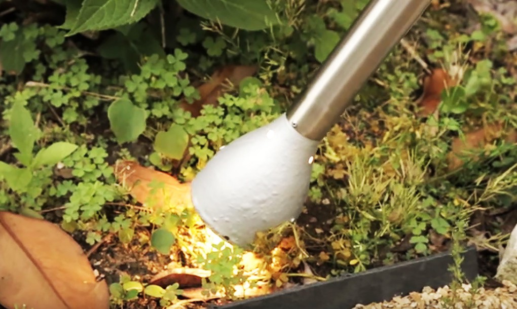 naturezap x610——1 - 1020