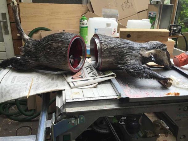 这个项目把你死去的宠物变成无人机，让它们飞起来