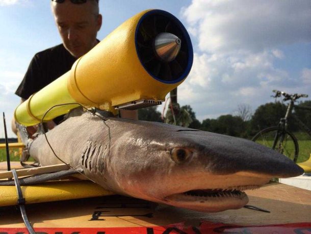 这个项目把你死去的宠物变成无人机，让它们飞起来