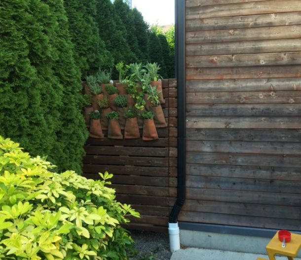 图片字幕:Reddit / sightfire