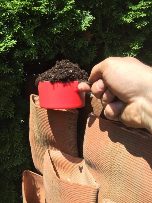 图片字幕:Reddit / sightfire