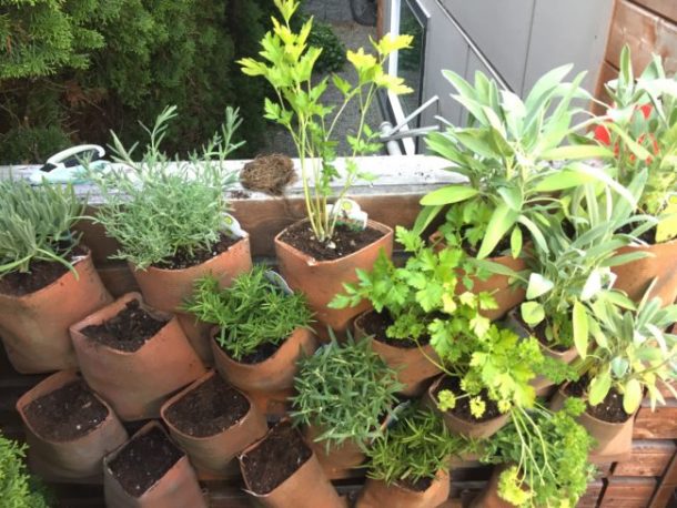 图片字幕:Reddit / sightfire