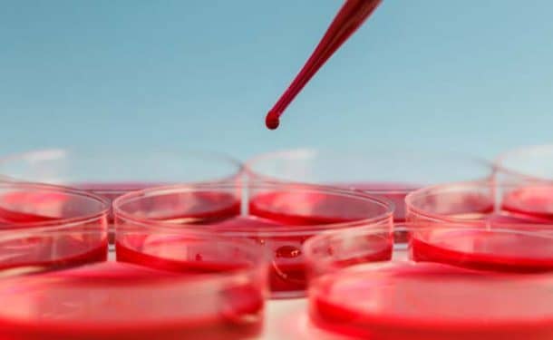 学分:盖蒂图片社