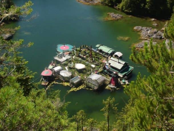 图片来源：Facebook / Catherine King