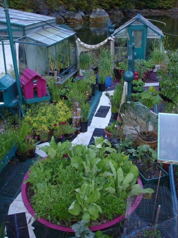 图片来源：Facebook / Catherine King