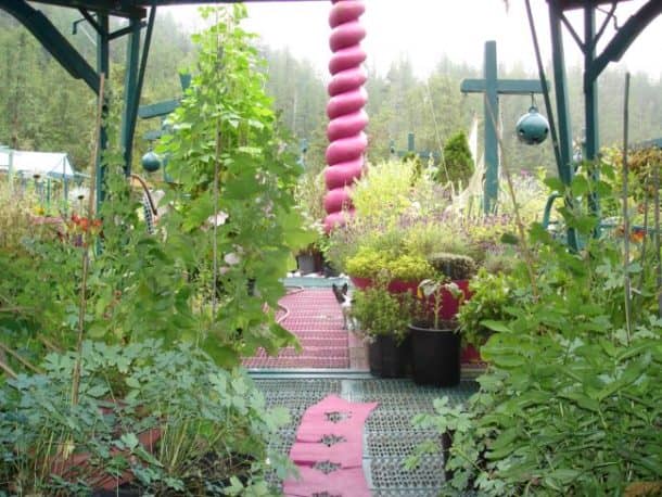 图片来源：Facebook / Catherine King