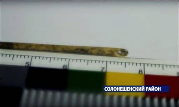 图片致谢:siberiantimes