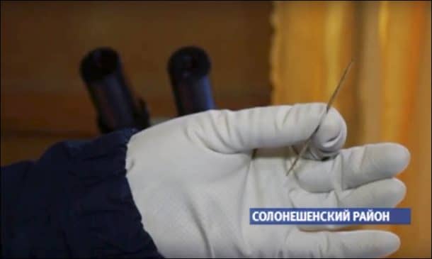 图片致谢:siberiantimes