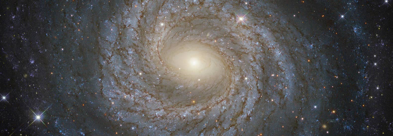 uci -物理学家-确认-可能-发现- -第五部队的性质- 1580 x549