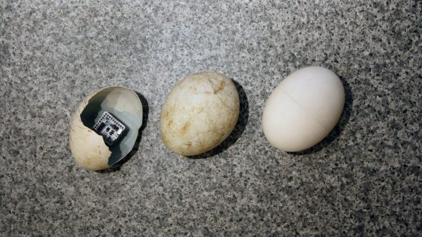 图片学分：技术时间