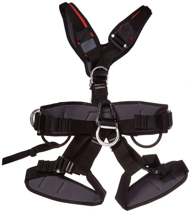 图片致谢:亚马逊