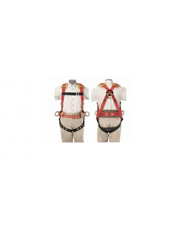 图片致谢:亚马逊