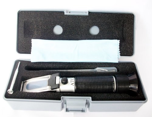 图片致谢:亚马逊