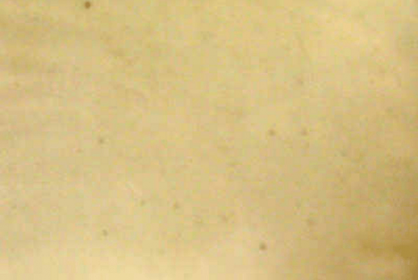 图片来源:橡树岭联合大学的Merril Eisenbud