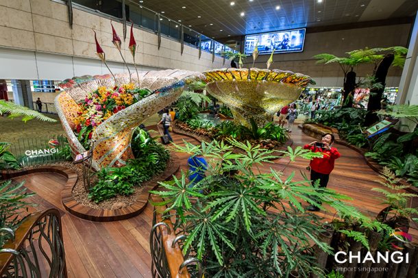 终端2 -运输-魔法花园