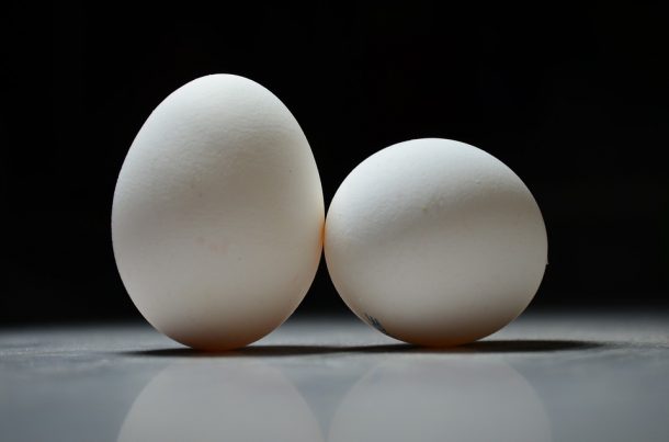 怎么样的宝贝鸟 - 呼吸 - 艾格 -  egg_image-0