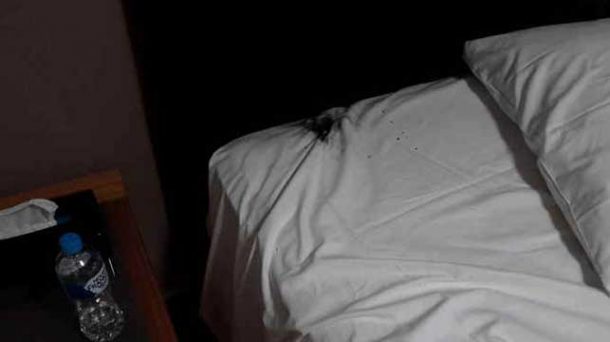 图片：reddit.com / cruskader