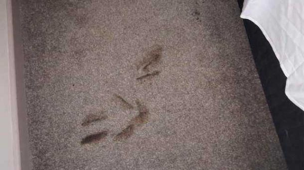 图片：reddit.com / cruskader