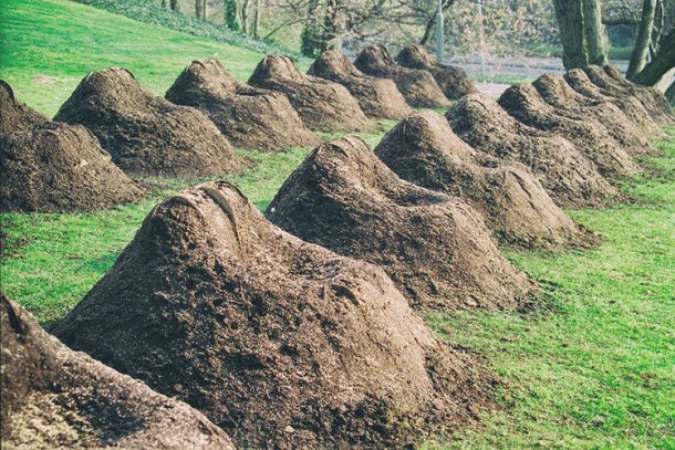 这个工具允许你种植草沙发Lawn_Image 4