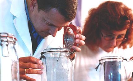 什么脱颖而出的新卡梅尔_image-4