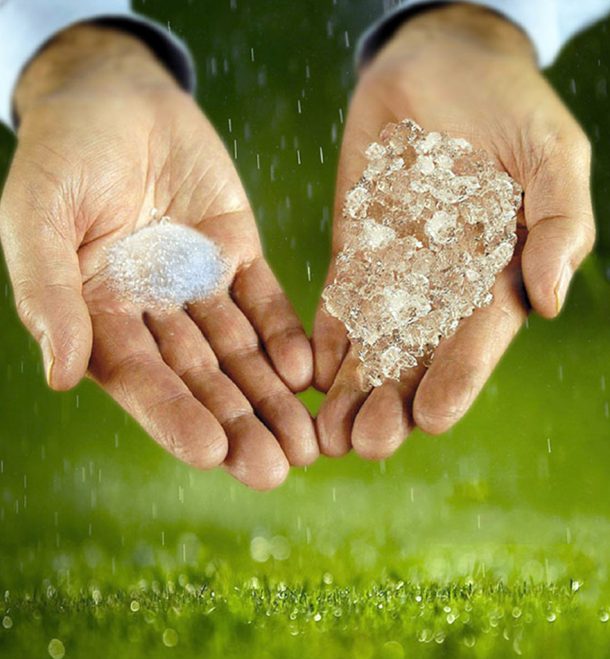 图片来源:Solid Rain/Facebook