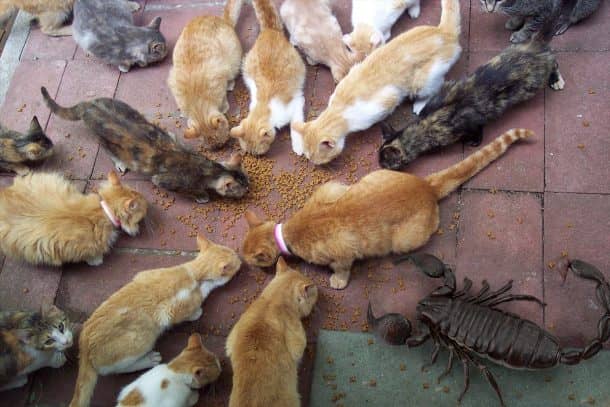 a-quick-perspective-by-kevin-wisbith-will-forever-change-the-way-you-perceive-things_image-2