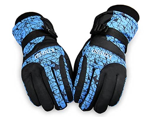 图片致谢:亚马逊