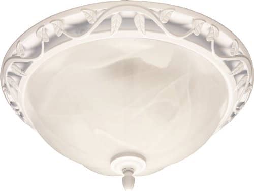 图片致谢:亚马逊