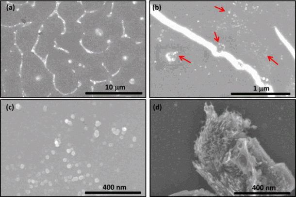 Diamond-Is-No-no-the-the-the-bederial-the-planet_image-4