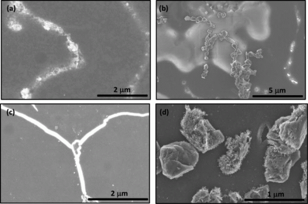 Diamond-Is-No-no-the-the-bederial-the-planet_image-5