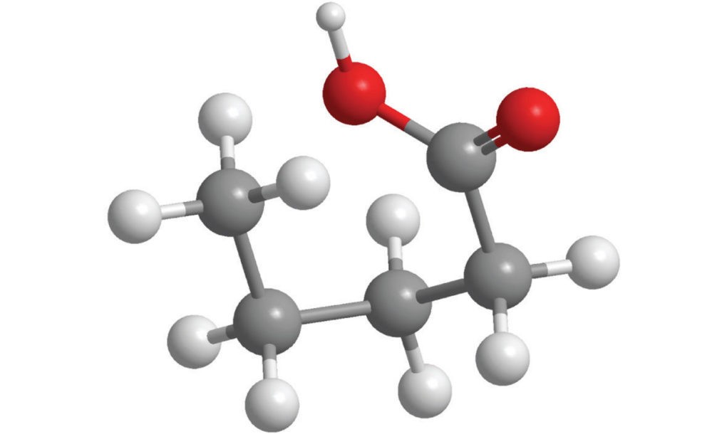 图像- - - - 1020 x610分子