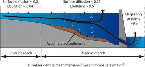 最新研究的点 - 不明智的源源式 - 瓦斯 - 瓦斯 - 瓦斯 - 比例比ever_image-1