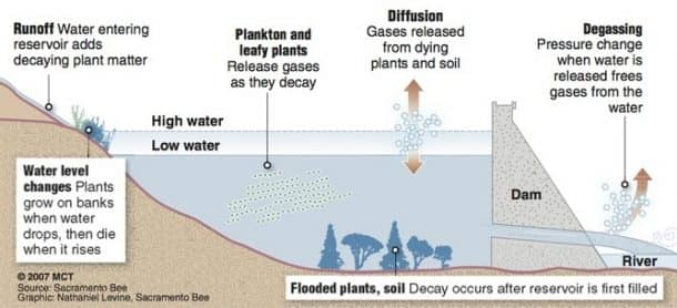 最新研究的点 - 不明智的 - 绿色房屋 - 瓦斯 - 瓦斯 - 瓦斯 - 比例比例超过了ever_image-3