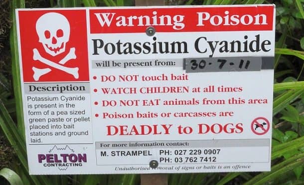 meet-the-guy-who-drank-cyanide-and-lived-to-tell-the-tale_image-1