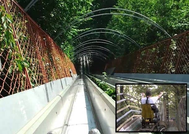 图片字幕:这是巨大的