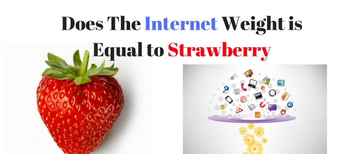 互联网的重量