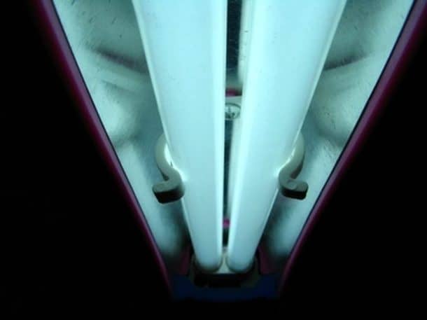 为什么要使用荧光灯 -  buzz_image-3