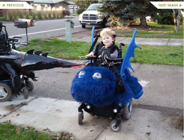 图片致谢:inhabitots