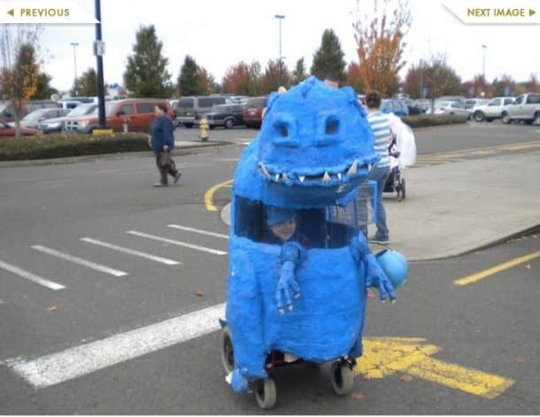 图片致谢:inhabitots