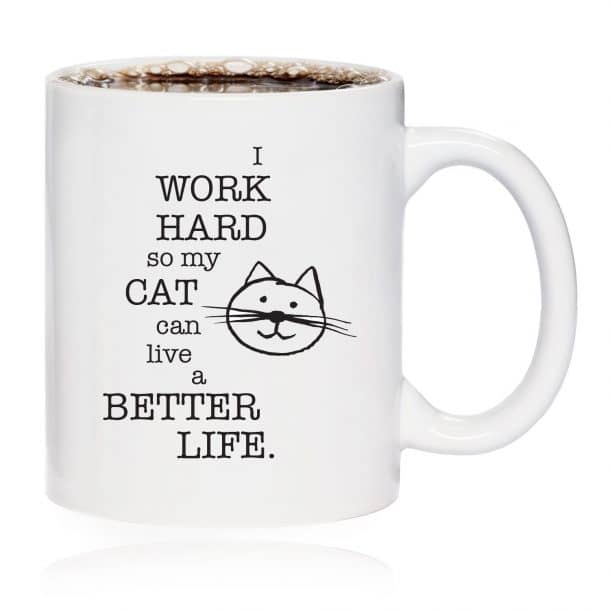 图片来源:亚马逊