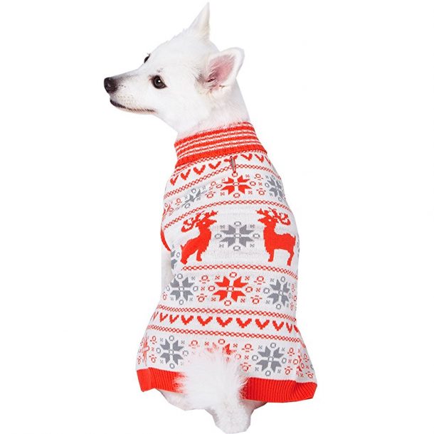 图片致谢:亚马逊